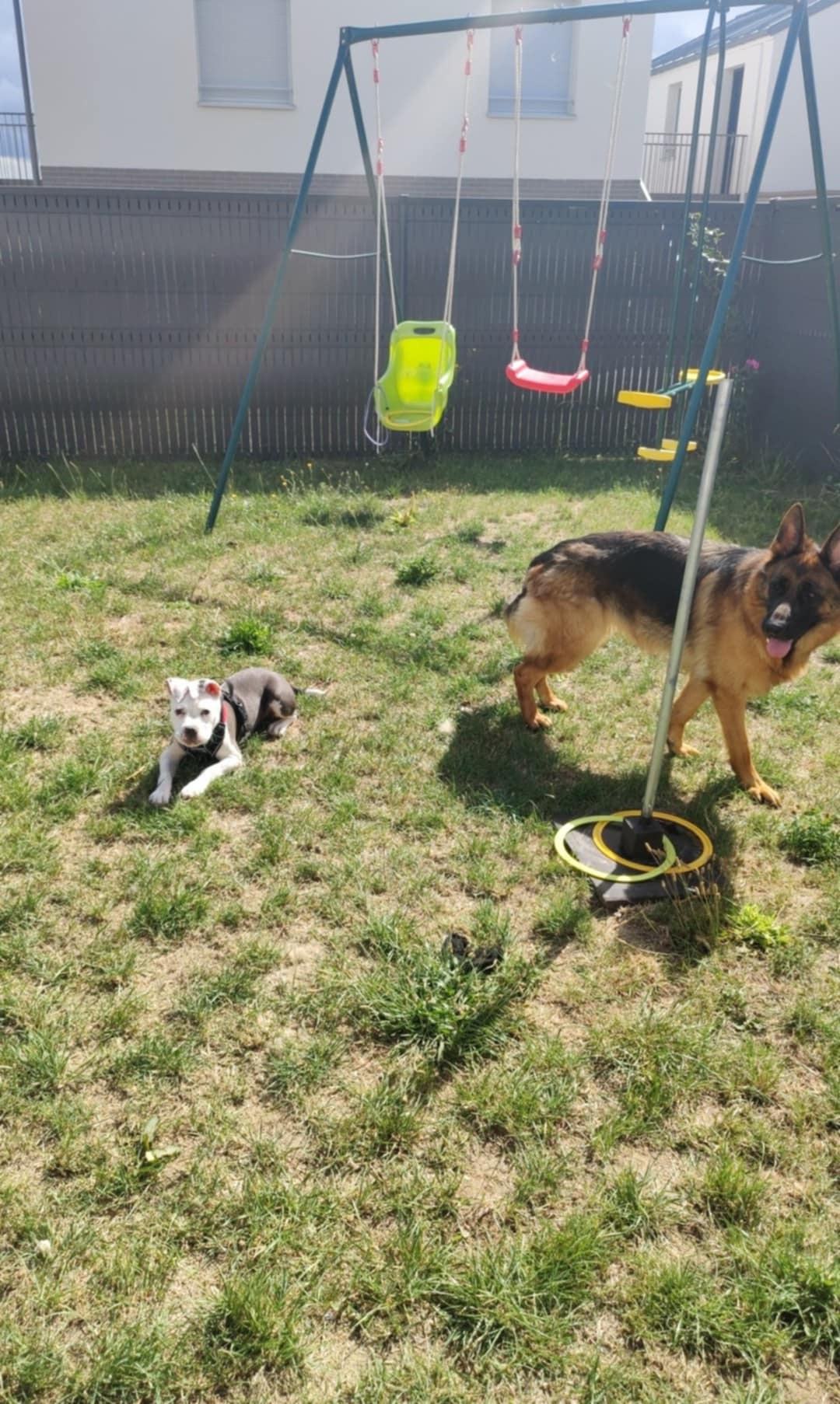 Aika et belle